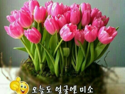 10년 젊어지는 10가지 방법