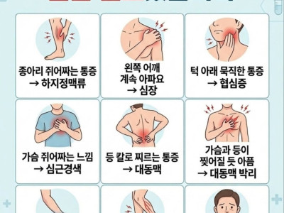 이런 증상이 근육통이 아니라 혈관 신호였다니..