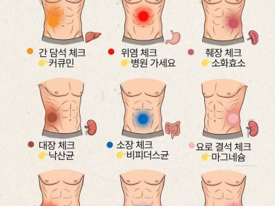 9분할 복통 지도로 몸속 통증 원인부터 찾으세요